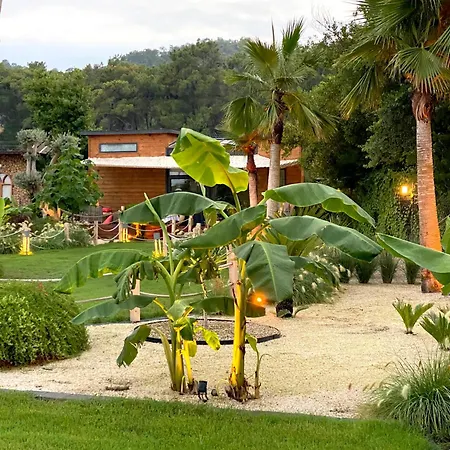 Butiq Garden House